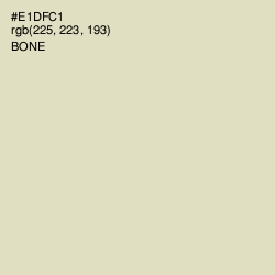 #E1DFC1 - Bone Color Image