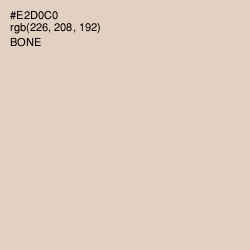 #E2D0C0 - Bone Color Image