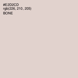 #E2D2CD - Bone Color Image