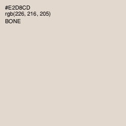 #E2D8CD - Bone Color Image