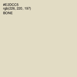 #E2DCC5 - Bone Color Image