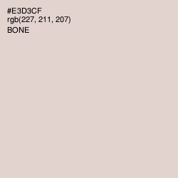 #E3D3CF - Bone Color Image
