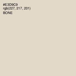 #E3D9C9 - Bone Color Image