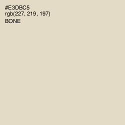 #E3DBC5 - Bone Color Image