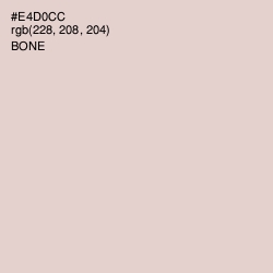 #E4D0CC - Bone Color Image