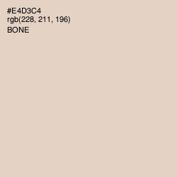 #E4D3C4 - Bone Color Image