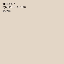 #E4D6C7 - Bone Color Image