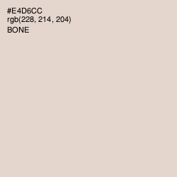 #E4D6CC - Bone Color Image