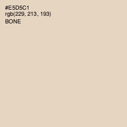 #E5D5C1 - Bone Color Image