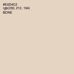 #E6D4C2 - Bone Color Image