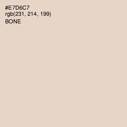 #E7D6C7 - Bone Color Image