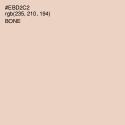 #EBD2C2 - Bone Color Image