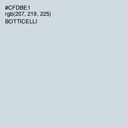 #CFDBE1 - Botticelli Color Image