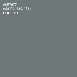 #6E7877 - Boulder Color Image