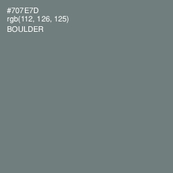 #707E7D - Boulder Color Image