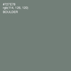 #727E78 - Boulder Color Image
