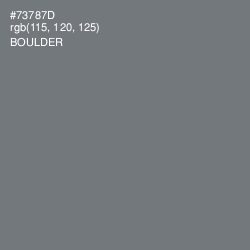 #73787D - Boulder Color Image
