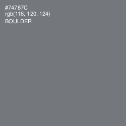 #74787C - Boulder Color Image