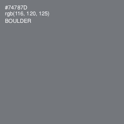 #74787D - Boulder Color Image
