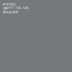 #75787C - Boulder Color Image