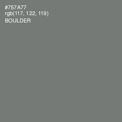 #757A77 - Boulder Color Image