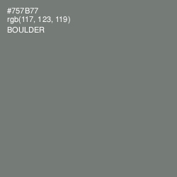 #757B77 - Boulder Color Image
