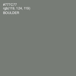 #777C77 - Boulder Color Image