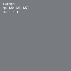 #787B7F - Boulder Color Image