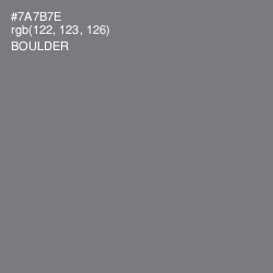 #7A7B7E - Boulder Color Image