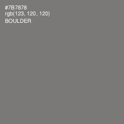 #7B7878 - Boulder Color Image