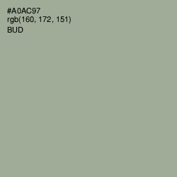 #A0AC97 - Bud Color Image