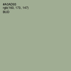#A0AD93 - Bud Color Image