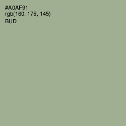 #A0AF91 - Bud Color Image