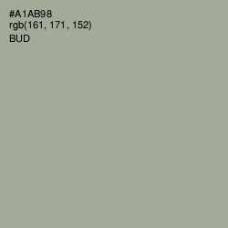 #A1AB98 - Bud Color Image