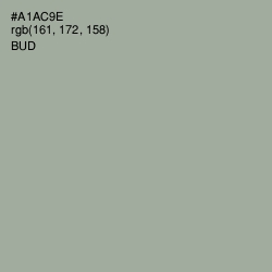 #A1AC9E - Bud Color Image