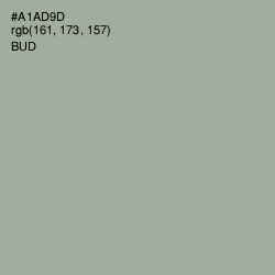#A1AD9D - Bud Color Image