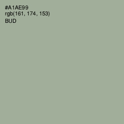 #A1AE99 - Bud Color Image