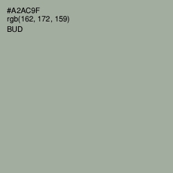 #A2AC9F - Bud Color Image