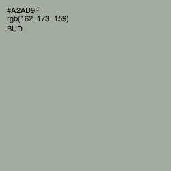 #A2AD9F - Bud Color Image