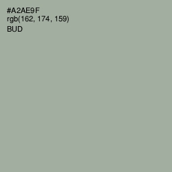 #A2AE9F - Bud Color Image