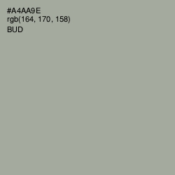 #A4AA9E - Bud Color Image