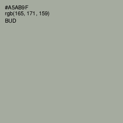 #A5AB9F - Bud Color Image