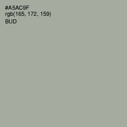 #A5AC9F - Bud Color Image