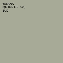 #A6AA97 - Bud Color Image