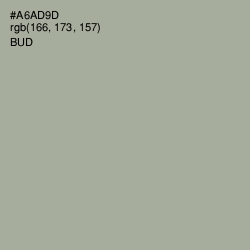 #A6AD9D - Bud Color Image