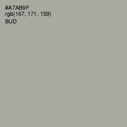 #A7AB9F - Bud Color Image