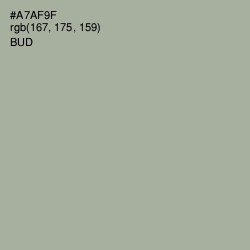 #A7AF9F - Bud Color Image
