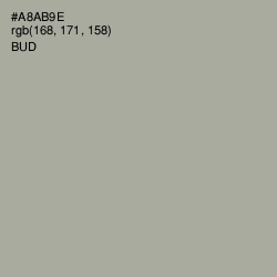 #A8AB9E - Bud Color Image