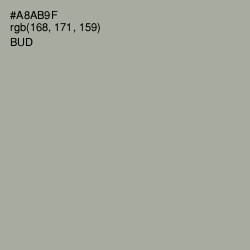 #A8AB9F - Bud Color Image