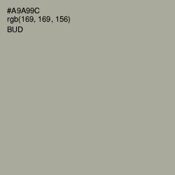 #A9A99C - Bud Color Image